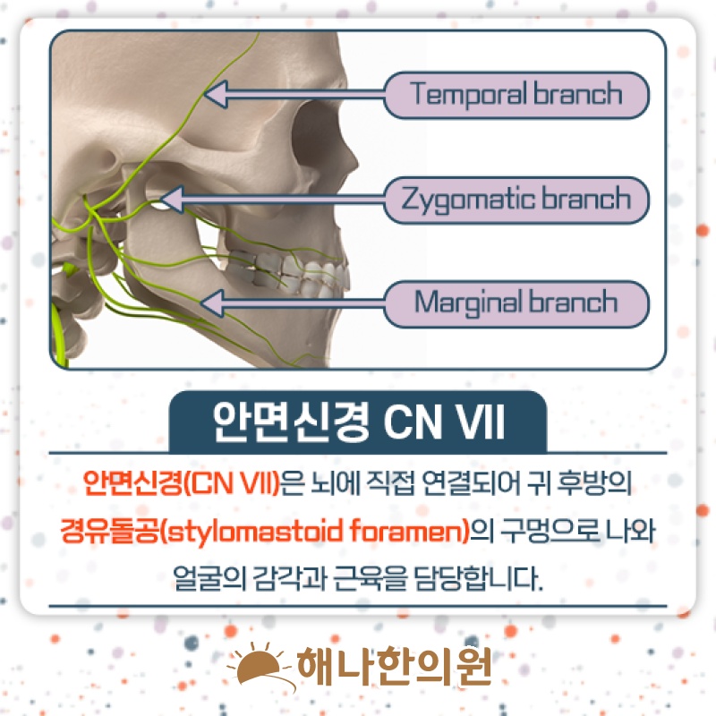 안면신경마비 회복 과정에서 살펴볼 구안와사 후유증