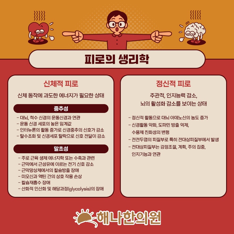 만성피로와 함께 나타나는 원인 모를 전신 통증