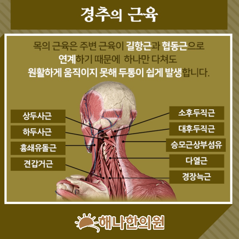 목의 긴장과 연관된 경추성두통, 편두통과 구분하기