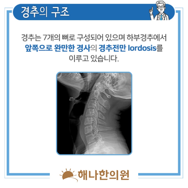 거북목증후군으로 이어지는 목 뒤쪽 통증의 양상