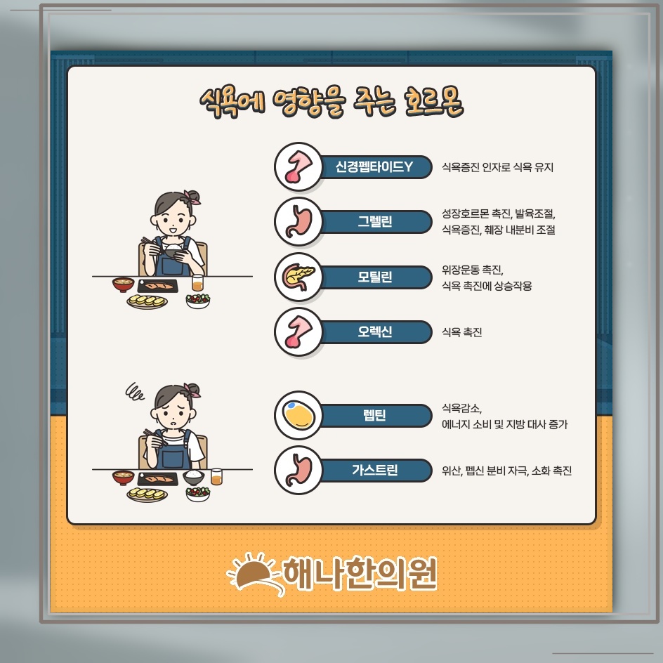 아이가 음식을 거부할 때 동반되는 식욕부진 이해하기