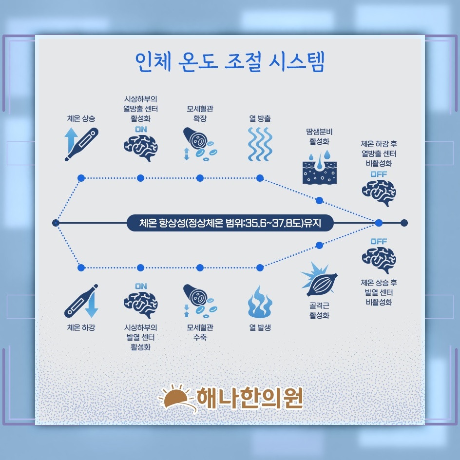 여성에게 더욱 뚜렷하게 나타나는 수족냉증의 특징