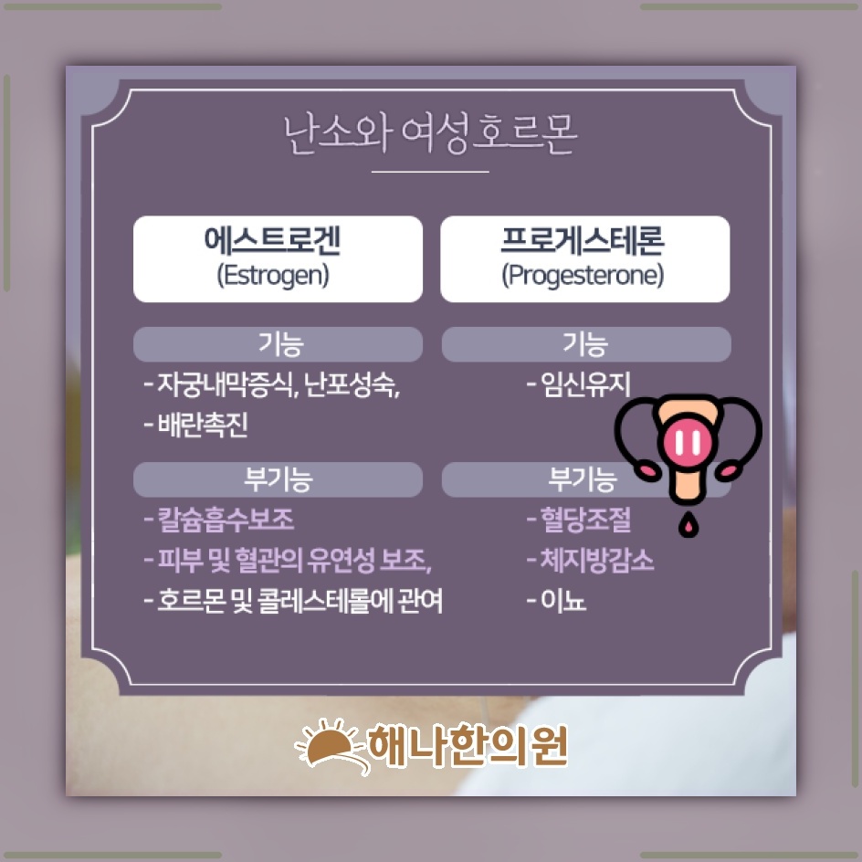 갱년기증후군에 따른 신체 변화와 불편감 이해하기