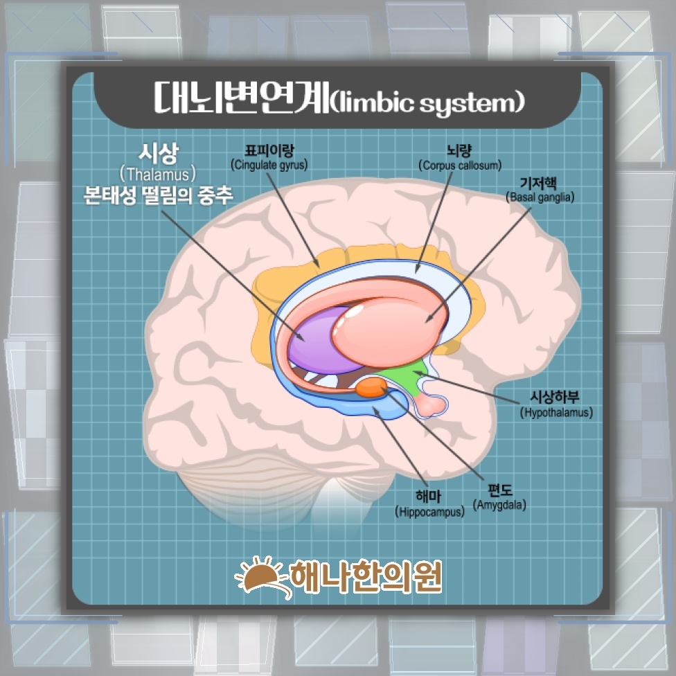 자신도 모르게 나타나는 본태성떨림의 양상과 특징