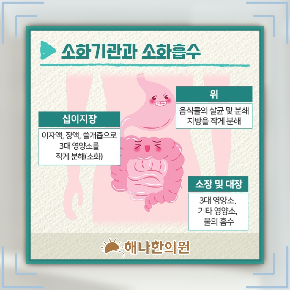 기능성소화불량으로 느끼는 상복부 팽만감과 답답함
