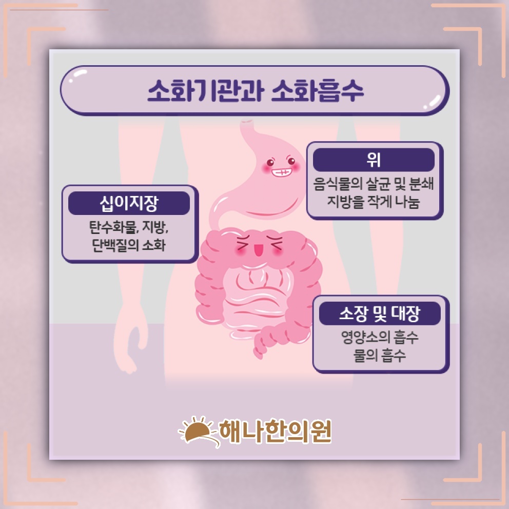 스트레스와 함께 살펴보는 과민성대장증후군의 증상 변화