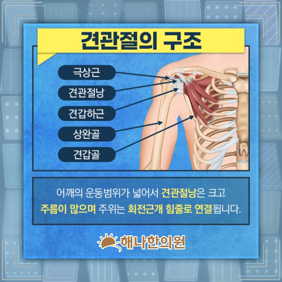 오십견 방치가 어깨 회복을 더디게 하는 이유