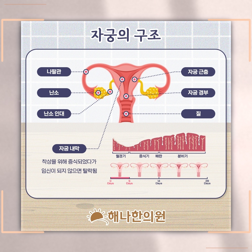 생리통이 나타나는 양상과 일상에서 살펴볼 변화