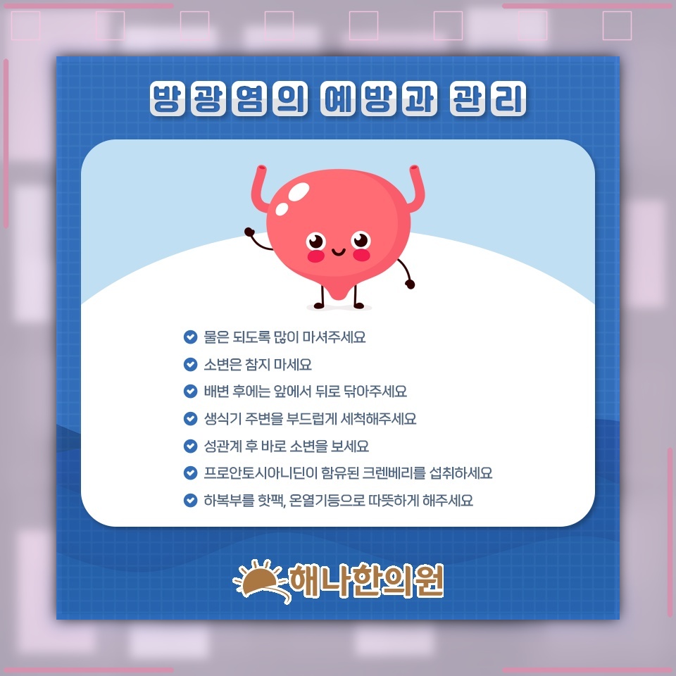 대장균으로 발생하는 방광염, 감염과 자극의 관계