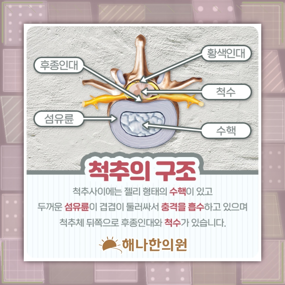 허리디스크로 이어지는 허리 통증과 다리 저림의 양상