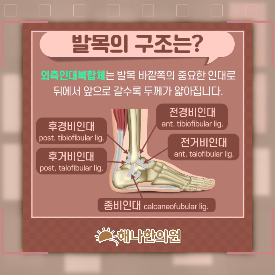 발목을 접질린 직후 나타나는 염좌의 주요 증상