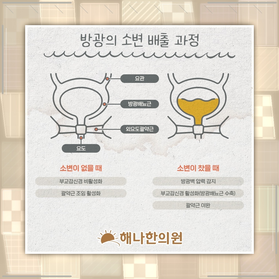요실금 때문에 커지는 심리적 부담과 일상 속 대처